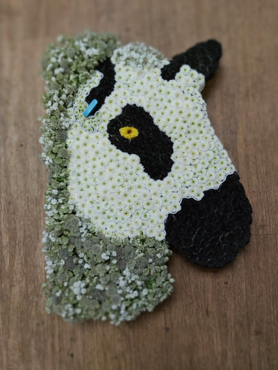 custom Sheep funeral tribute - Here at the flower box we specialise in custom funeral tributes, this listing shows one of many of unique sheep we have made to help families say goodbye to a loved one with a personalised tribute.