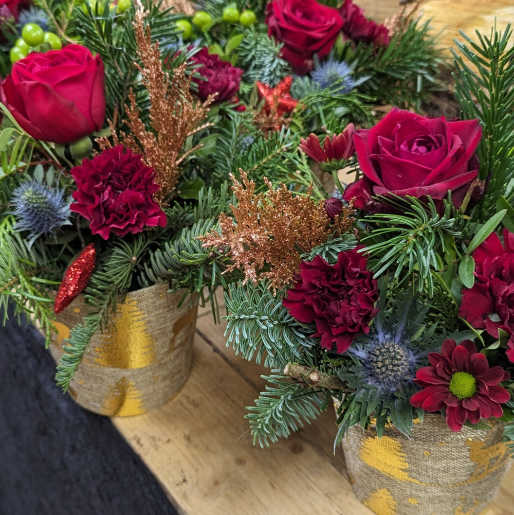 Florist Choice Christmas Pot arrangement